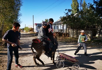 “Higher Education Excellence In Development Cooperation”
