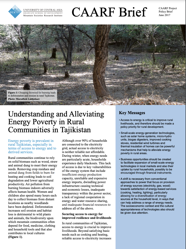 Understanding and Alleviating Energy Poverty in Rural Communities in Tajikistan