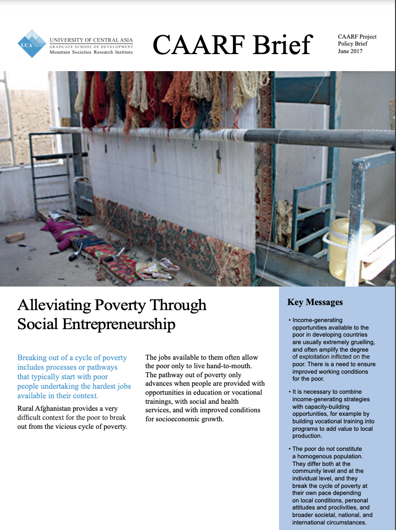 Alleviating Poverty Through Social Entrepreneurship