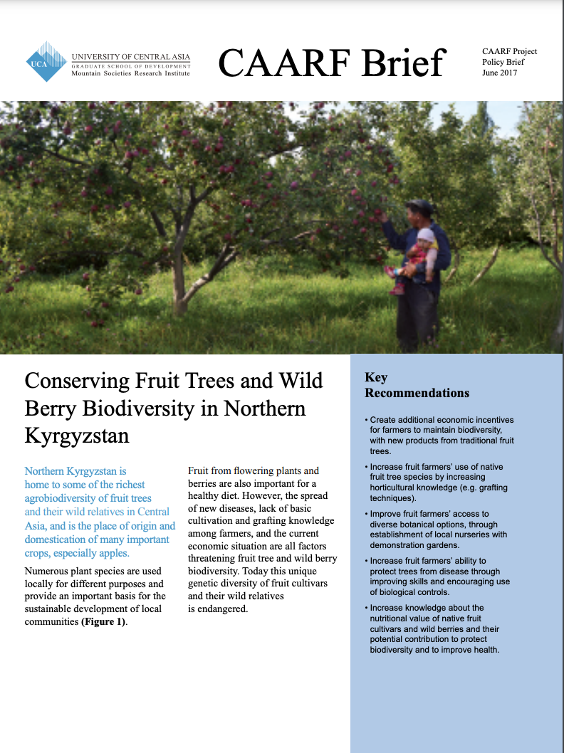 Conserving Fruit Trees and Wild Berry Biodiversity in Northern Kyrgyzstan